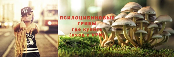 круглые Магас